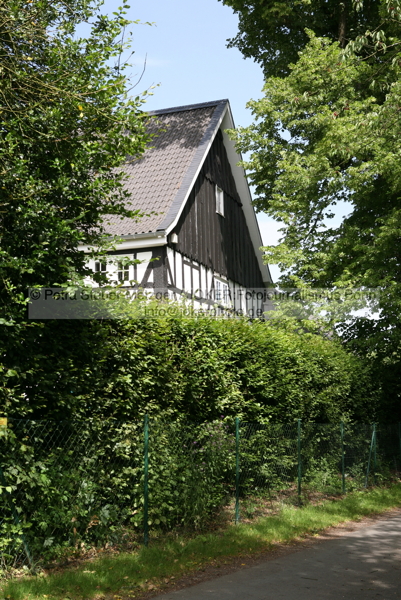 140610_5101_06.jpg