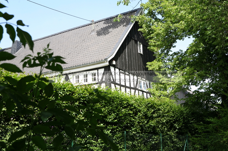 140610_5101_09.jpg