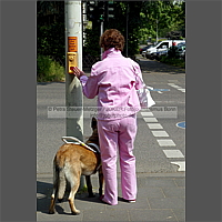 Klicken Sie auf die Vorschau, um das Vollbild zu sehen 050601_5101_01.jpg