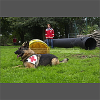 100907_5100_12.jpg