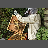 Klicken Sie auf die Vorschau, um das Vollbild zu sehen 120910_5125_27.jpg