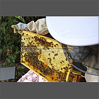 Klicken Sie auf die Vorschau, um das Vollbild zu sehen 120910_5125_47.jpg