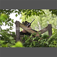 Klicken Sie auf die Vorschau, um das Vollbild zu sehen 130626_5101_57.jpg